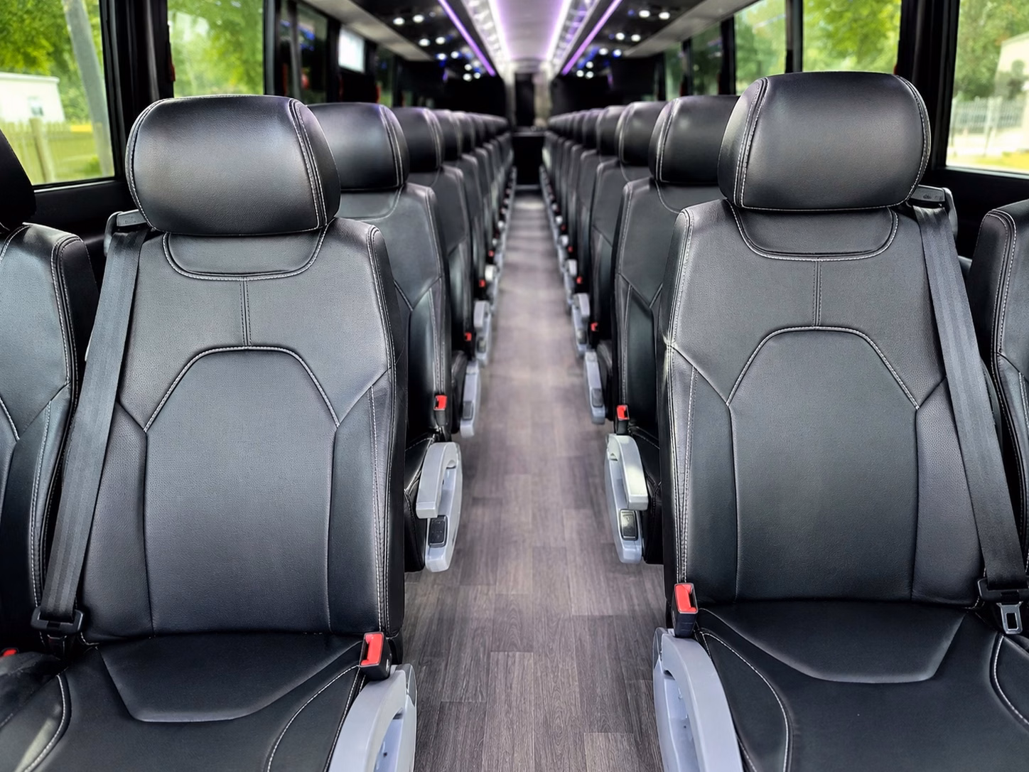 bellingham long distance transportation