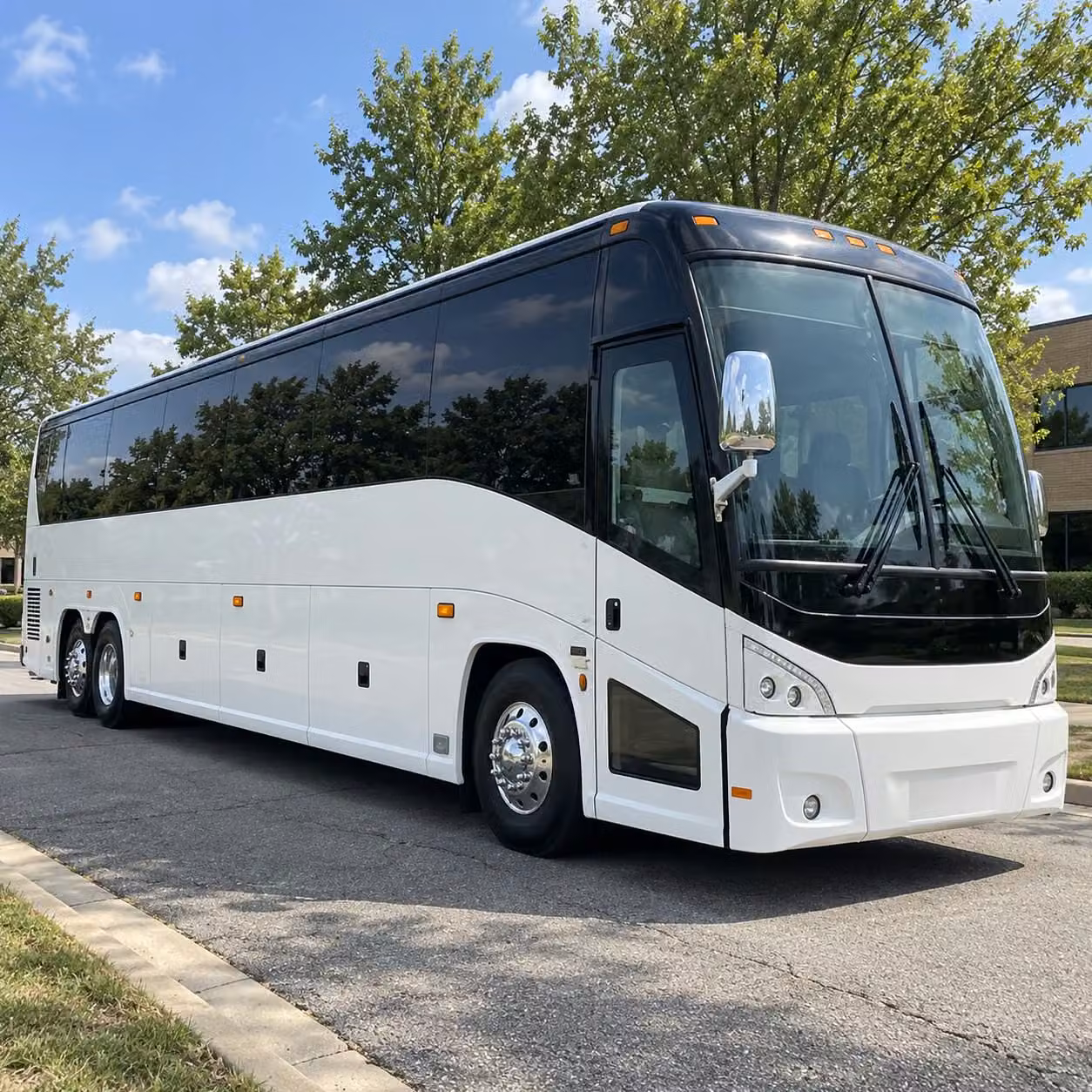 bellingham sporting event transportation