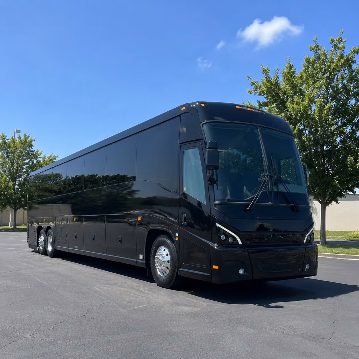 compare employee transportation options in bellingham and beyond