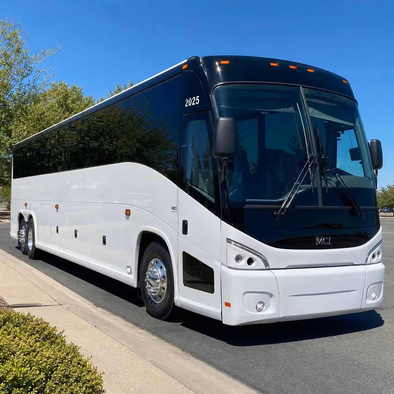 compare long distance transportation options in bellingham and beyond