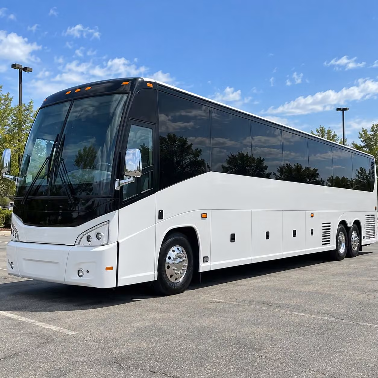 compare school event transportation options in bellingham and beyond