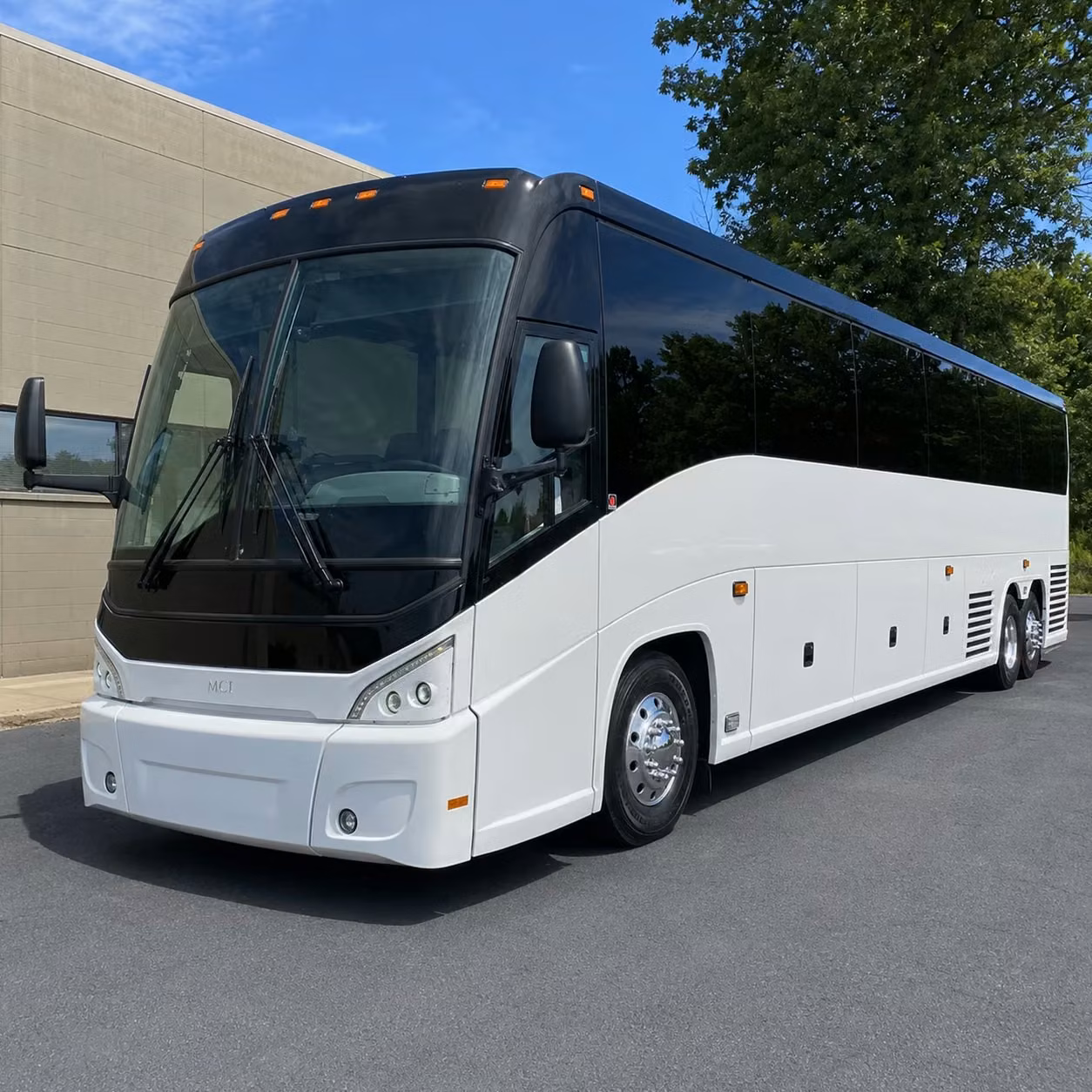 from bellingham to seattle vancouver and beyond long distance group travel made simple